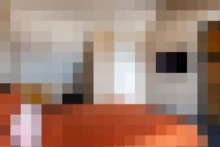 Zilverlinde 6 Kaatsheuvel thumbnail 28