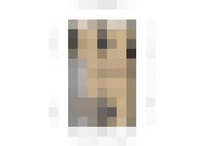 Zilverlinde 6 Kaatsheuvel thumbnail 30