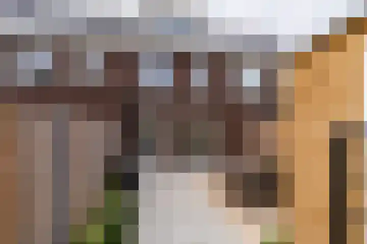 Zilverlinde 6 Kaatsheuvel thumbnail 4