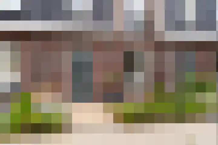 Zilverlinde 6 Kaatsheuvel thumbnail 5