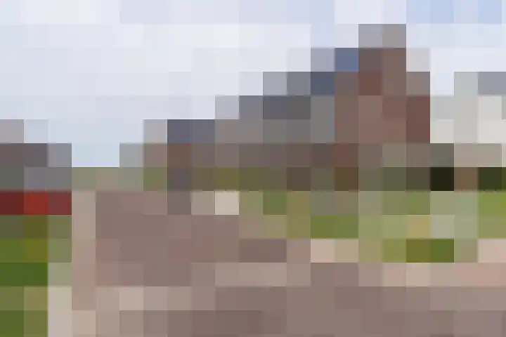 Zilverlinde 6 Kaatsheuvel thumbnail 6