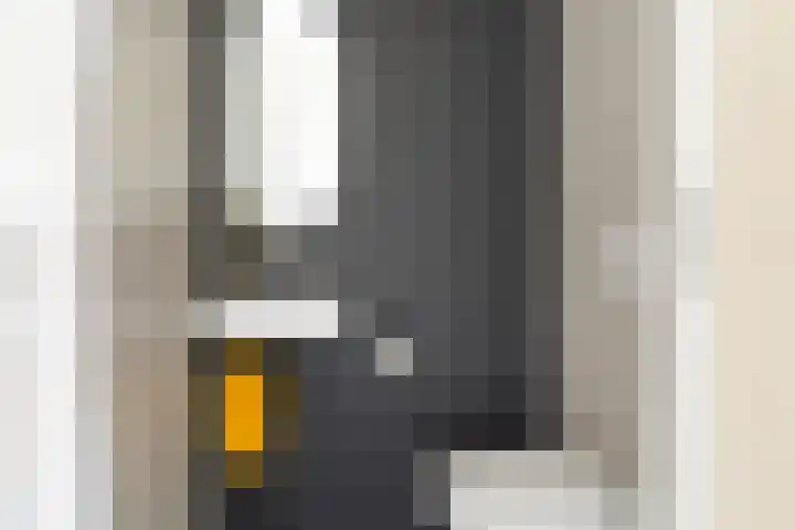 Zilverlinde 6 Kaatsheuvel thumbnail 8