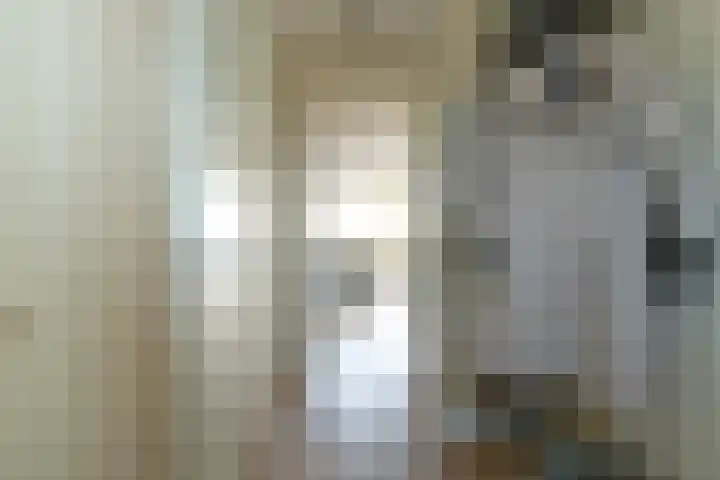 Zilverlinde 6 Kaatsheuvel thumbnail 9
