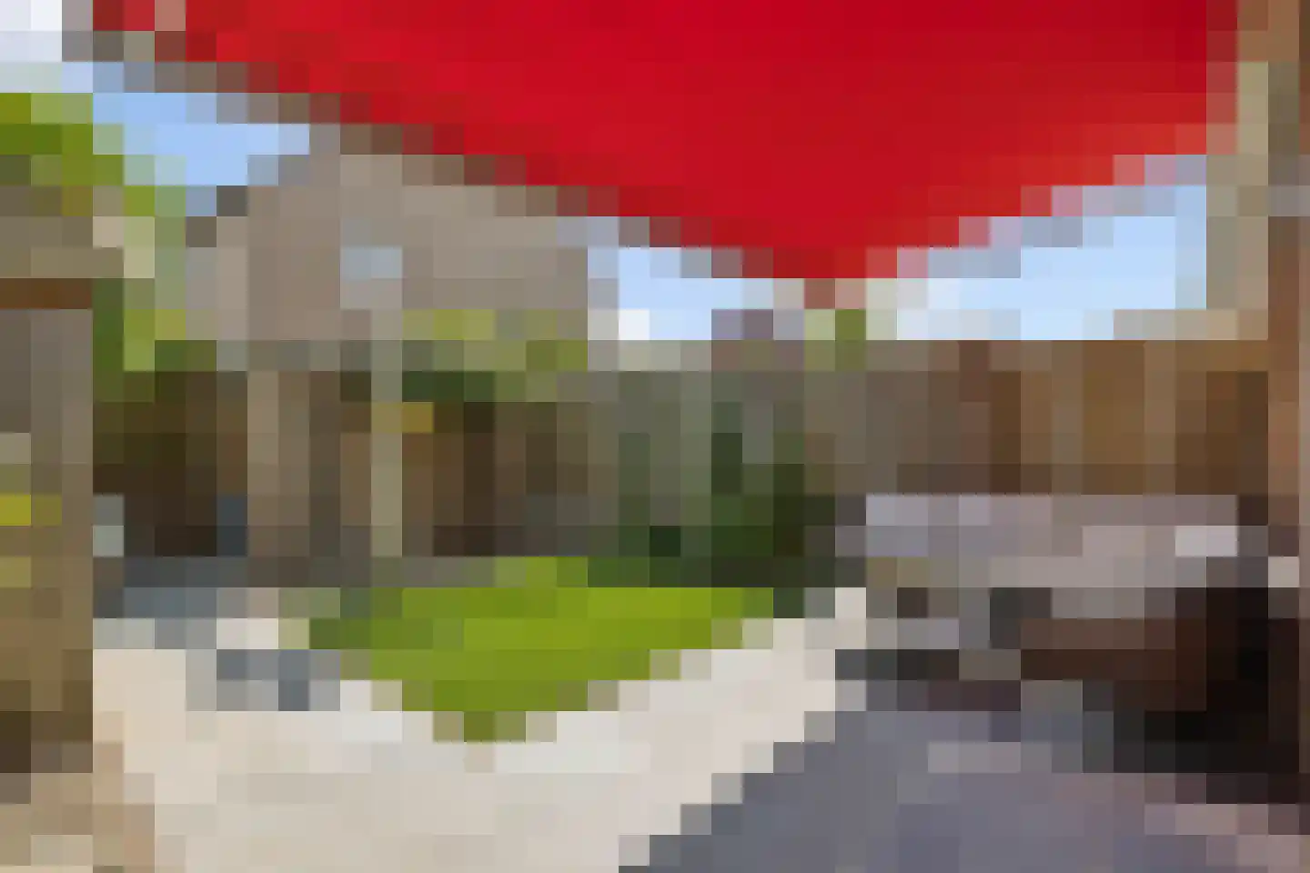 Zilverlinde 60 's-Hertogenbosch thumbnail 23