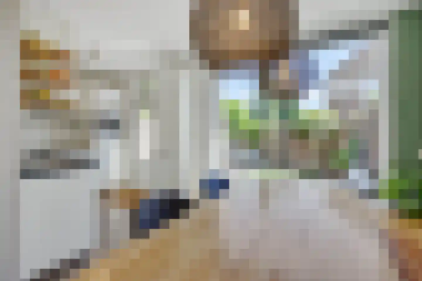 Zilverlinde 60 's-Hertogenbosch thumbnail 7