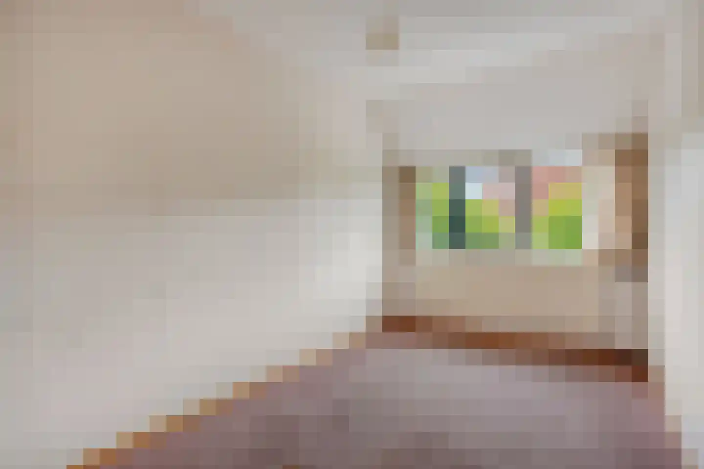 Zilverlinde 68 's-Hertogenbosch thumbnail 13