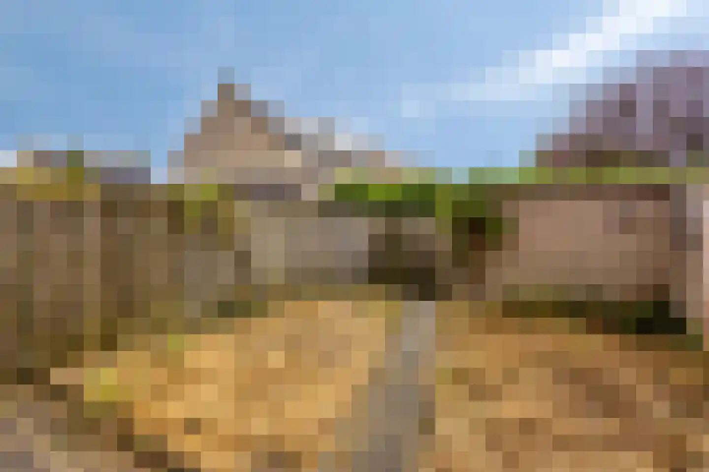 Zilverlinde 68 's-Hertogenbosch thumbnail 21