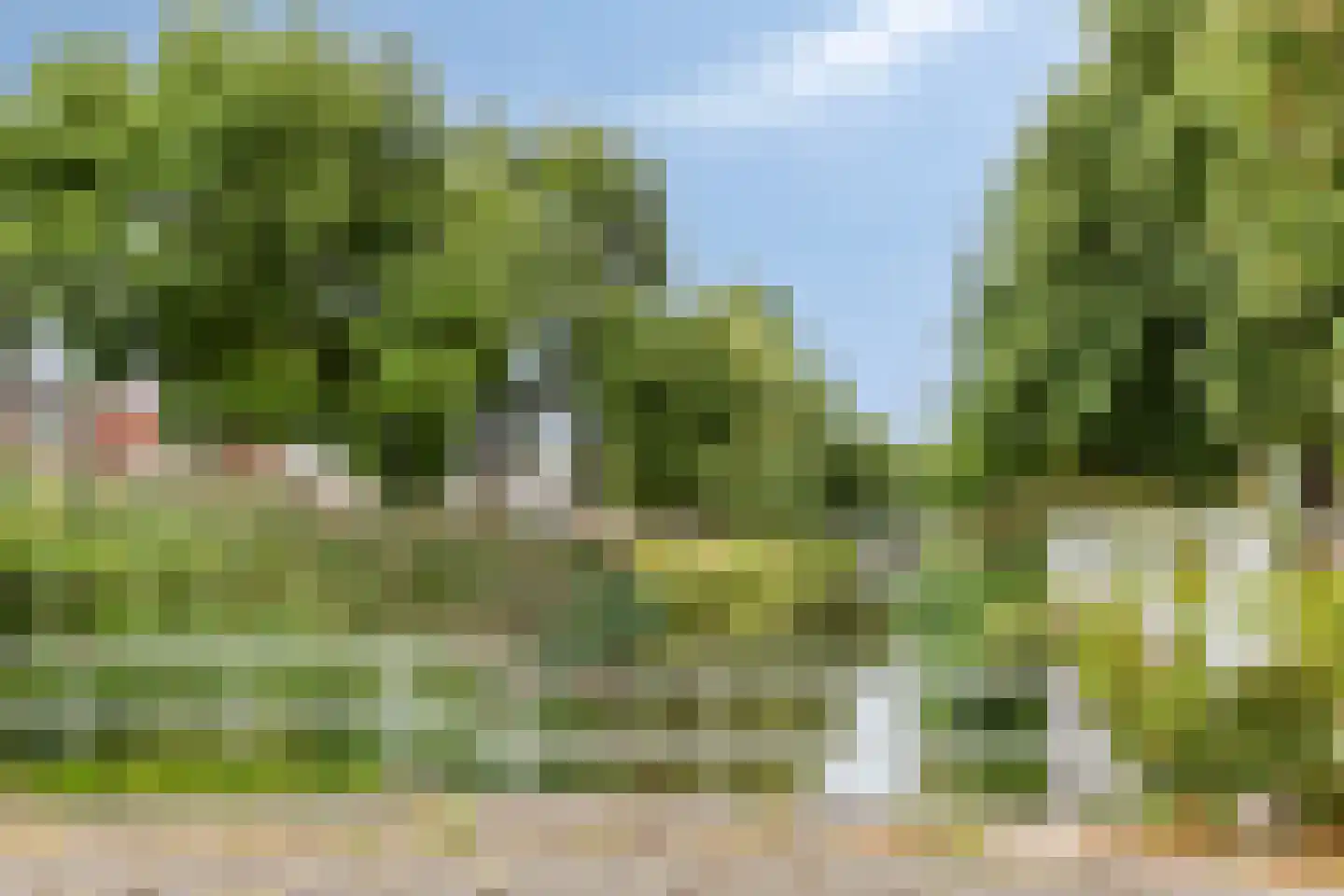Zilverlinde 68 's-Hertogenbosch thumbnail 29