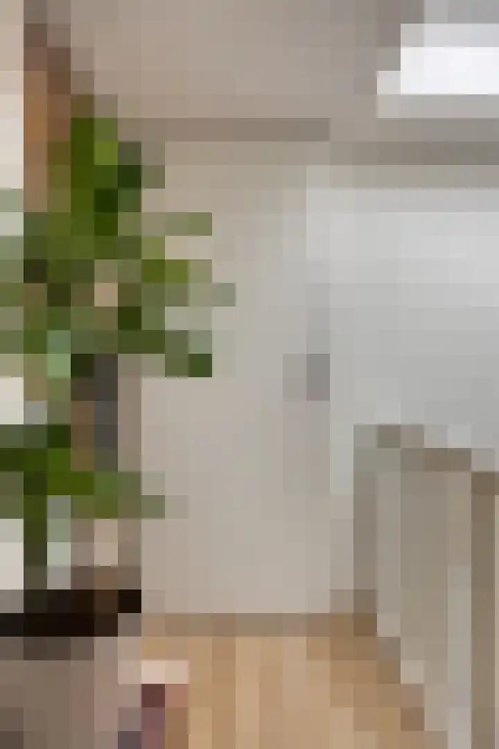 Zilverlindestraat 9 Tilburg thumbnail 35