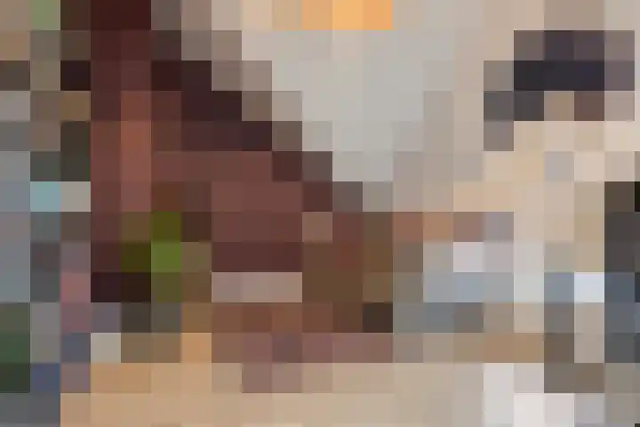 Zilverlindestraat 9 Tilburg thumbnail 38