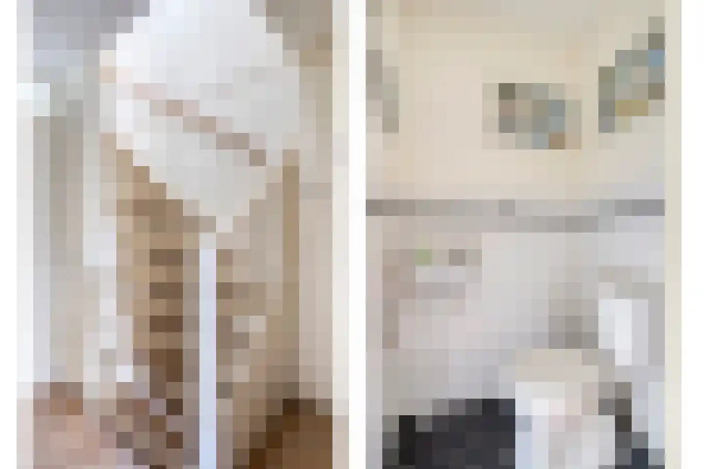 Zilvermeer 12 Groningen thumbnail 15
