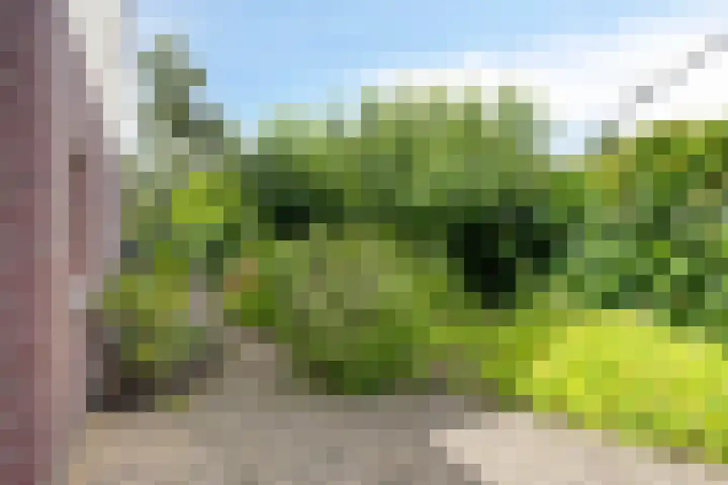 Zilvermeer 12 Groningen thumbnail 30