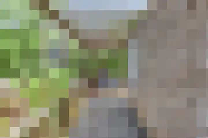 Zilvermeer 36 Groningen thumbnail 29