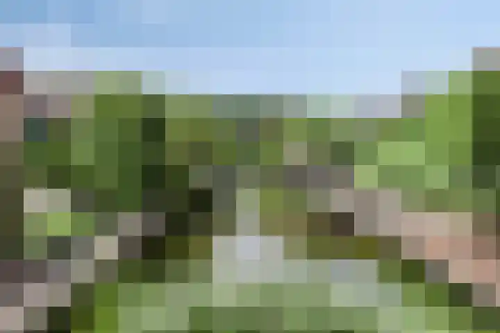 Zilvermeer 36 Groningen thumbnail 33