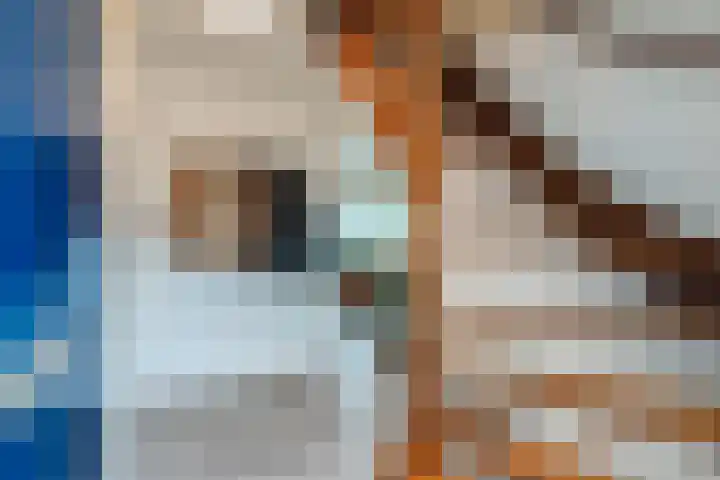 Zilvermeer 50 Groningen thumbnail 12