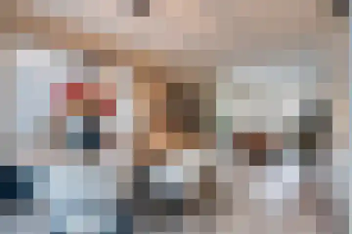 Zilvermeer 50 Groningen thumbnail 20