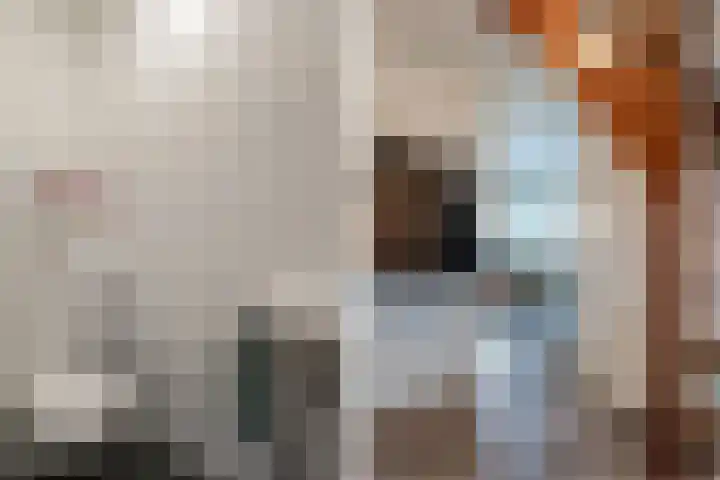 Zilvermeer 50 Groningen thumbnail 25