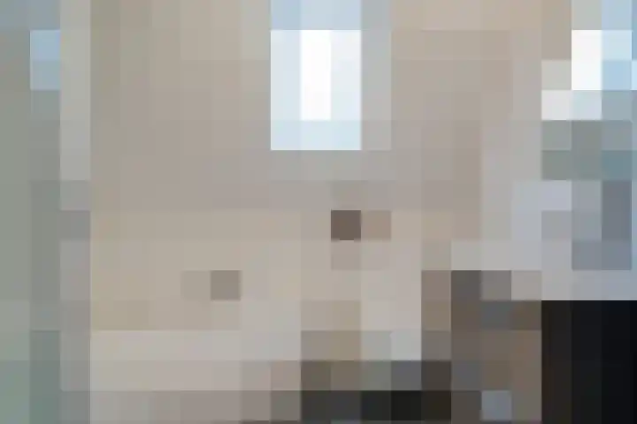 Zilvermeer 50 Groningen thumbnail 32