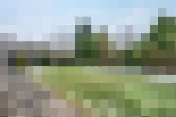 Zilvermeer 50 Groningen thumbnail 37