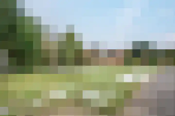 Zilvermeer 50 Groningen thumbnail 38