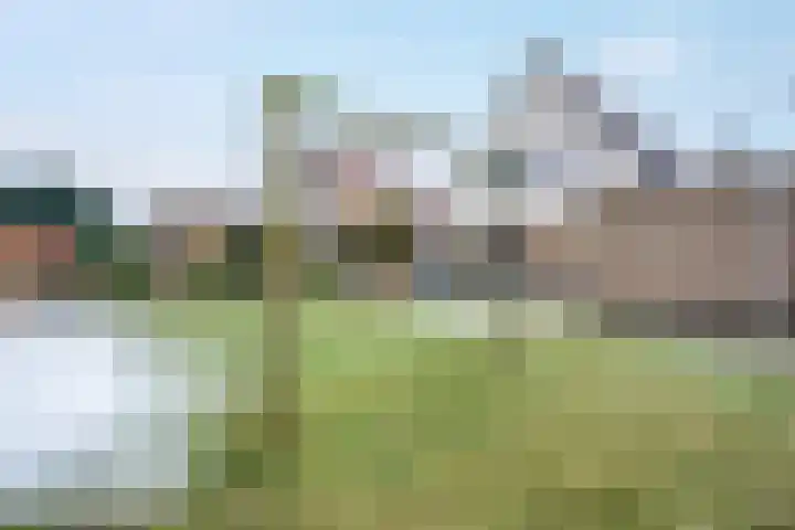 Zilvermeer 50 Groningen thumbnail 39