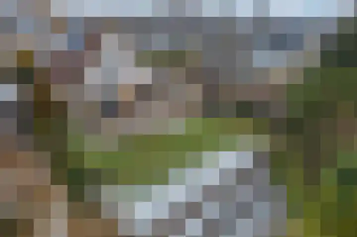 Zilvermeer 50 Groningen thumbnail 41