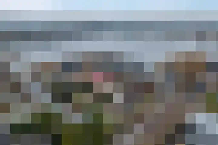 Zilvermeer 50 Groningen thumbnail 42