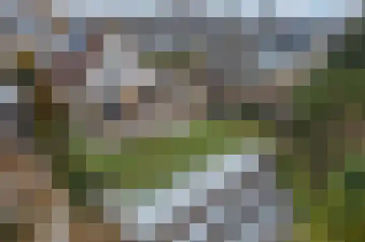 Zilvermeer 50 Groningen thumbnail 5