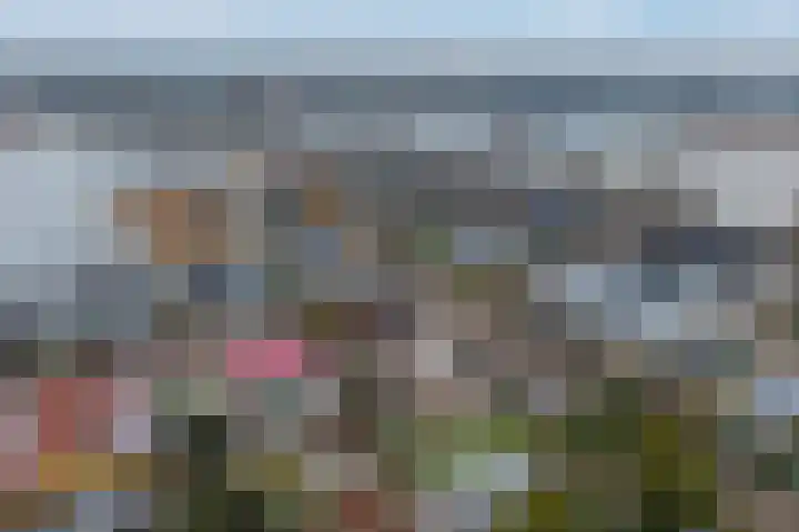 Zilvermeer 50 Groningen thumbnail 6