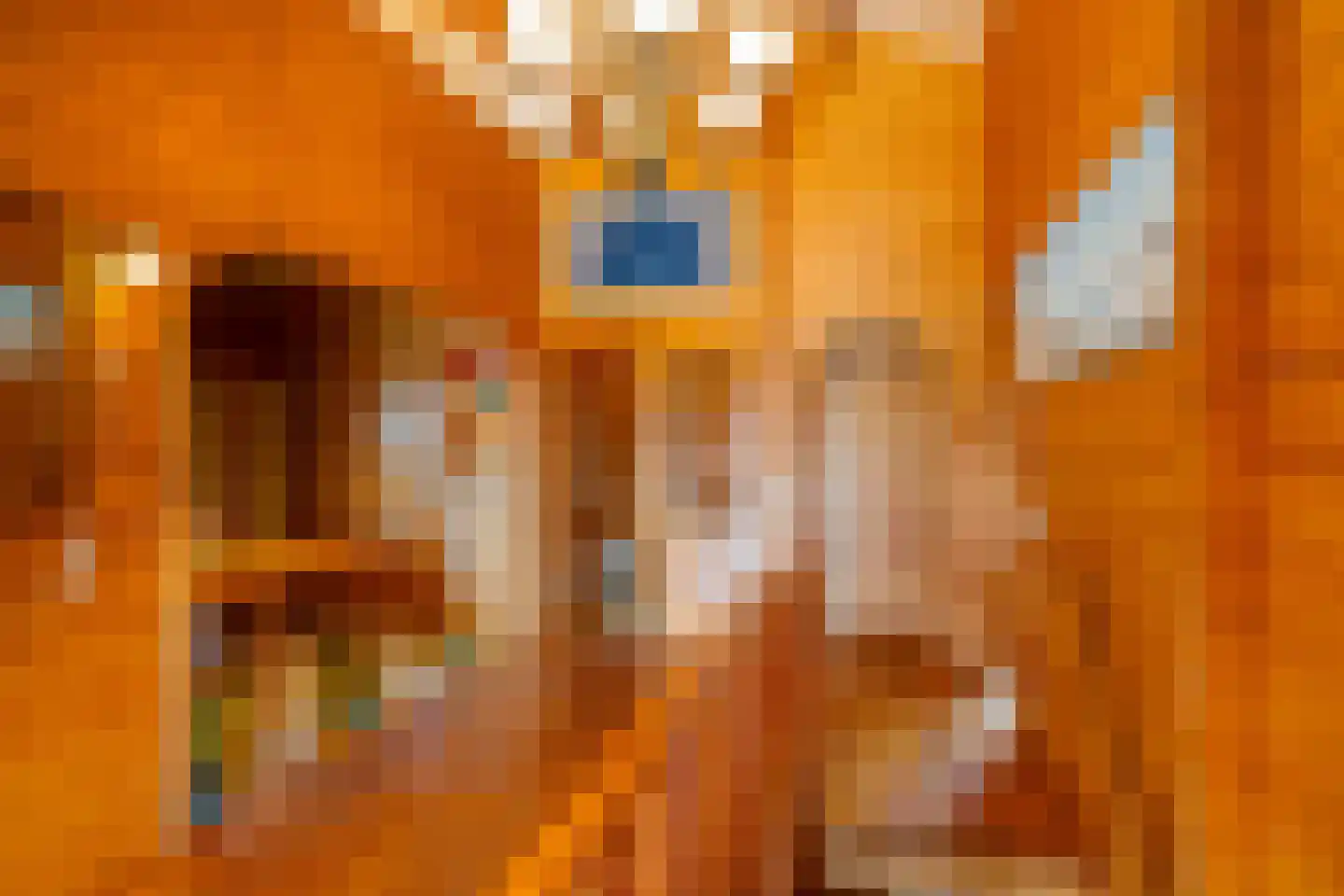 Zilvermeer 52 Groningen thumbnail 11