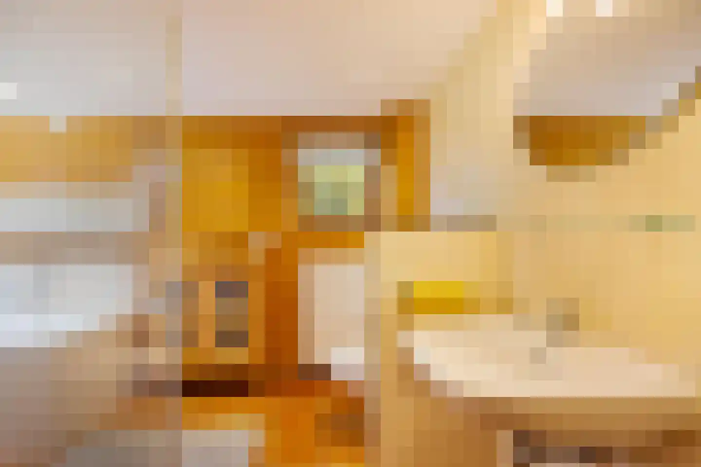 Zilvermeer 52 Groningen thumbnail 35