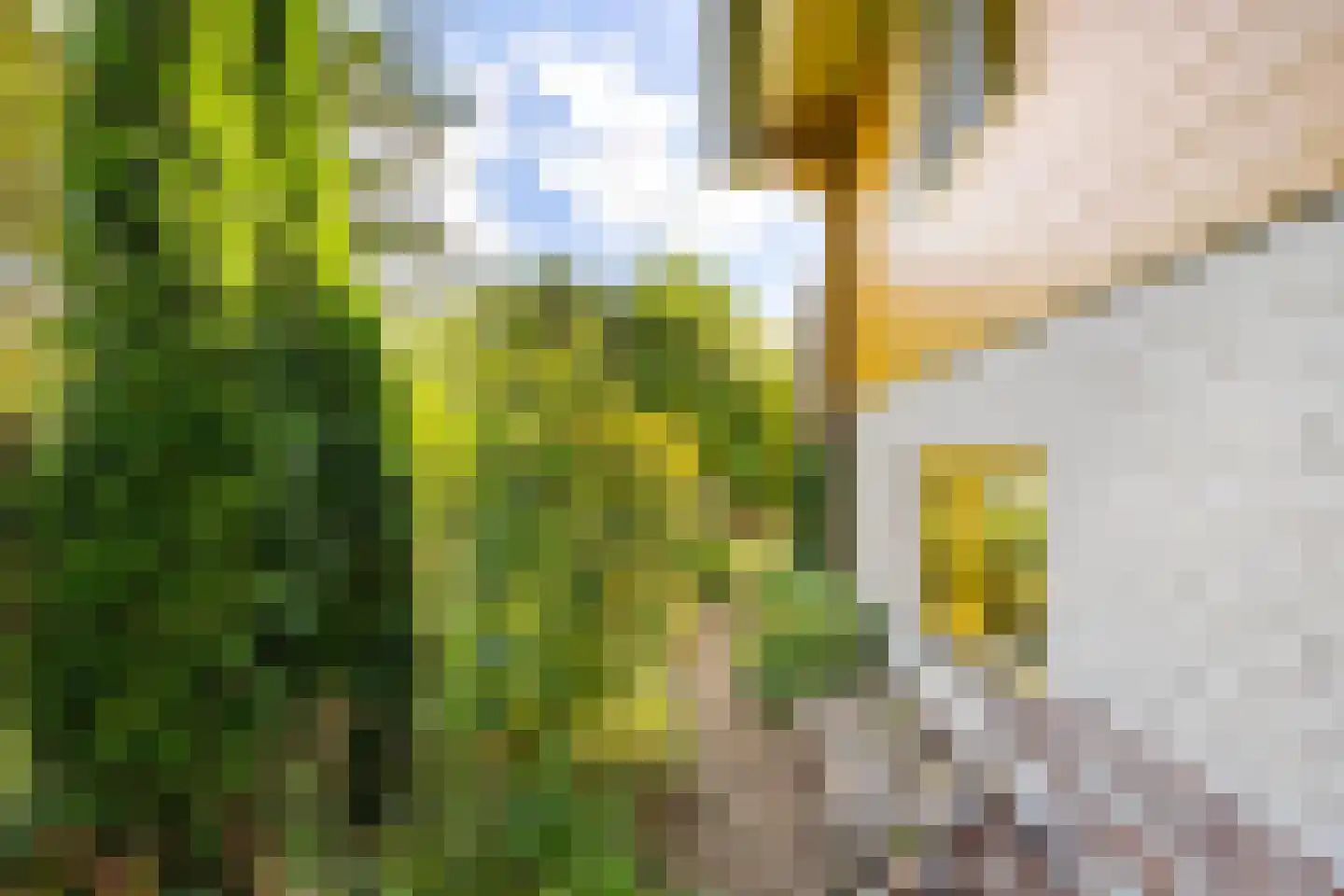 Zilvermeer 52 Groningen thumbnail 44