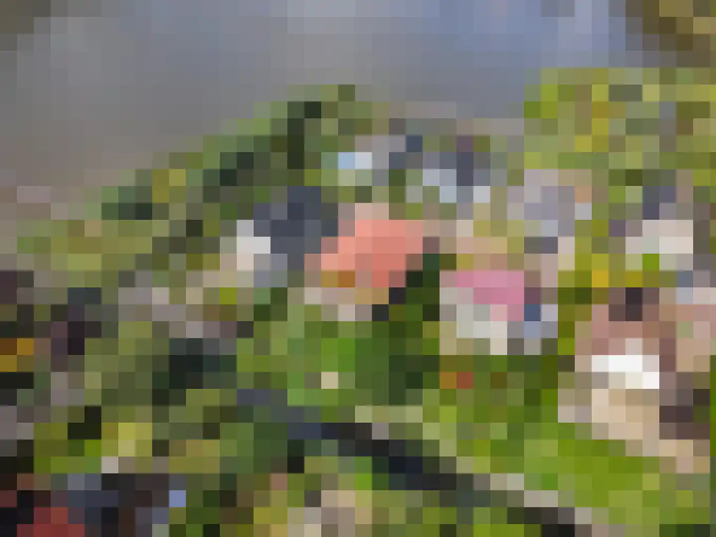 Zilvermeer 52 Groningen thumbnail 6
