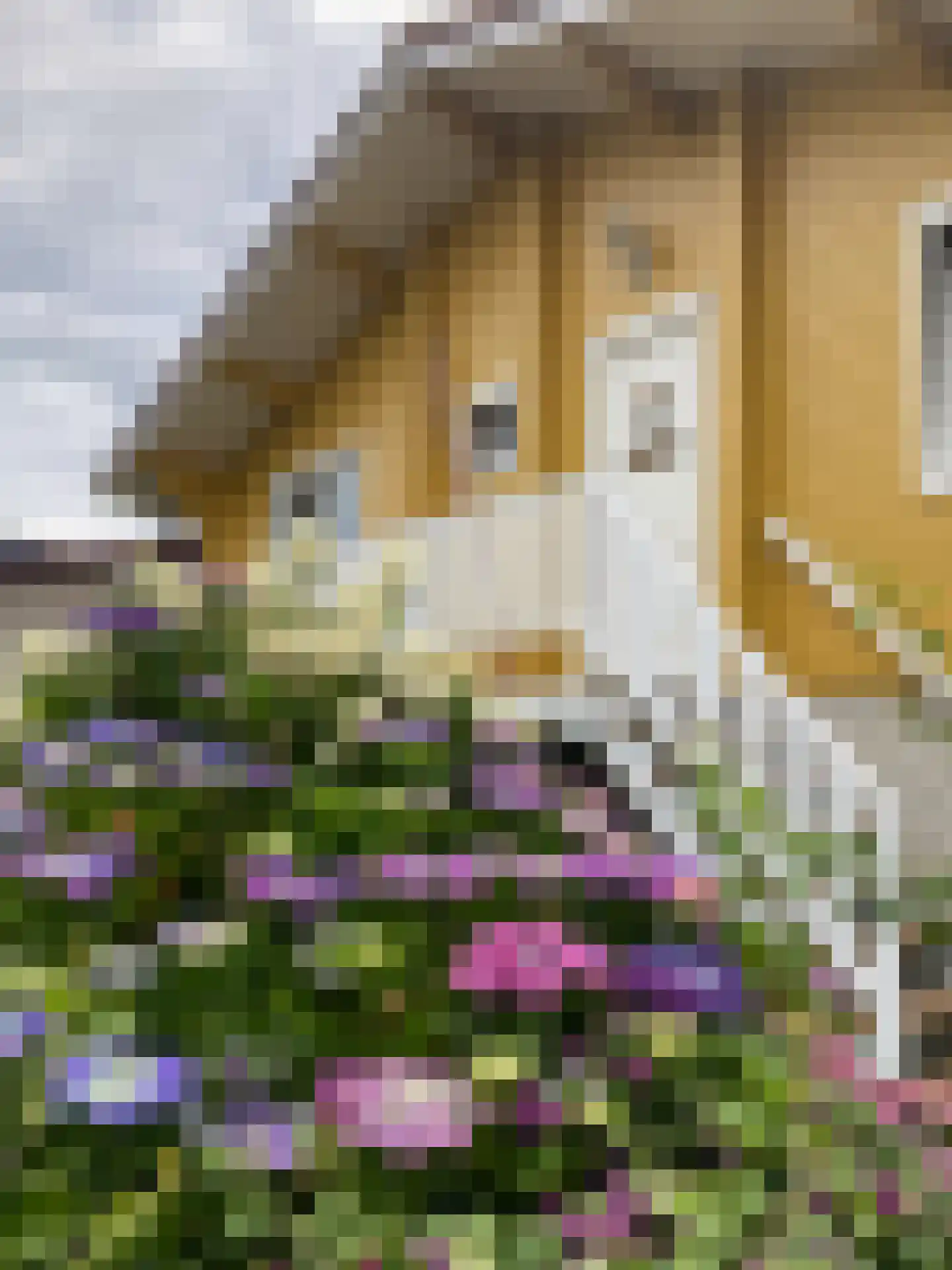 Zilvermeer 52 Groningen thumbnail 8