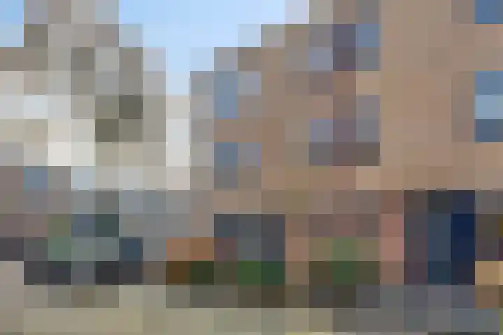 Zilvermeeuw 1 De Lier