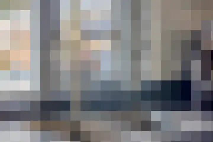 Zilvermeeuw 1 De Lier thumbnail 10