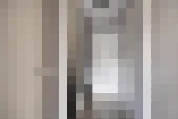 Zilvermeeuw 1 De Lier thumbnail 11