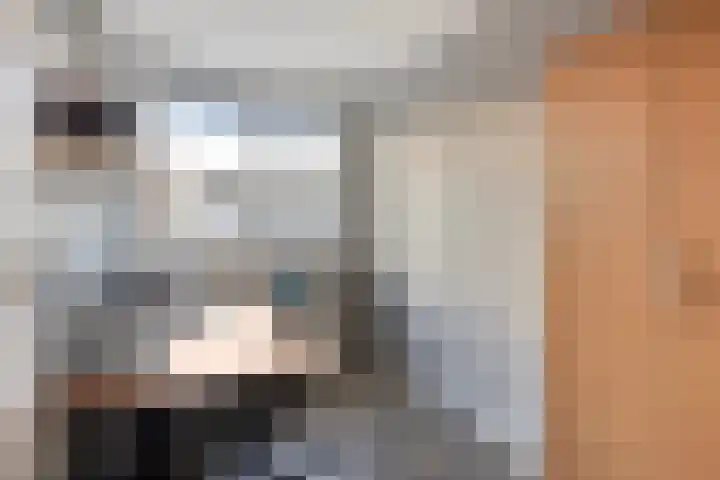 Zilvermeeuw 1 De Lier thumbnail 12