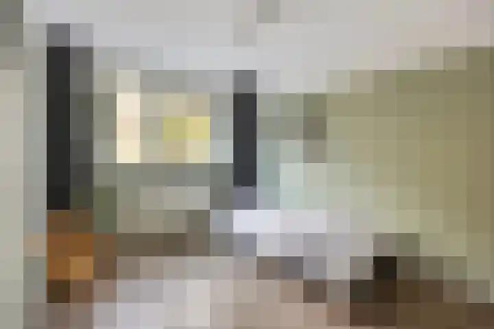 Zilvermeeuw 1 De Lier thumbnail 13