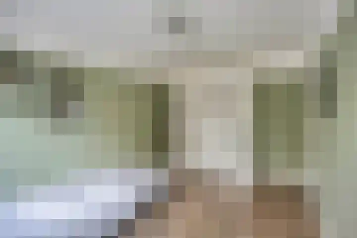 Zilvermeeuw 1 De Lier thumbnail 14