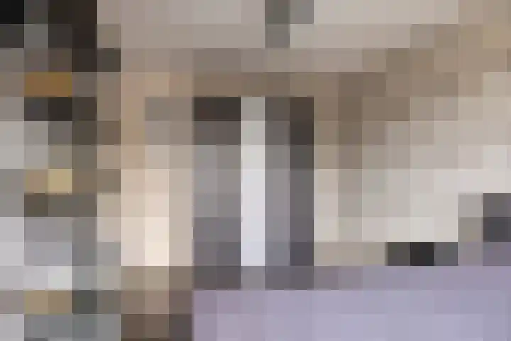 Zilvermeeuw 1 De Lier thumbnail 16