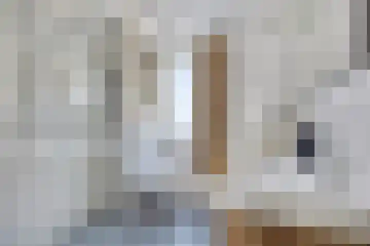 Zilvermeeuw 1 De Lier thumbnail 17