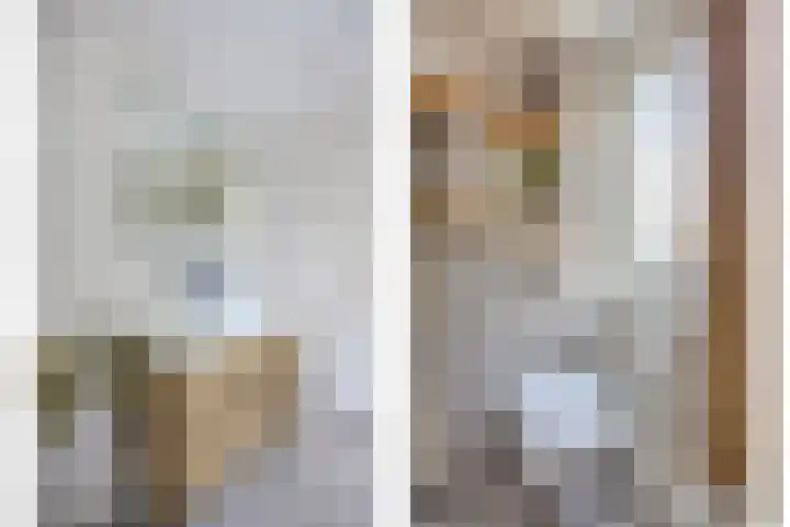 Zilvermeeuw 1 De Lier thumbnail 19