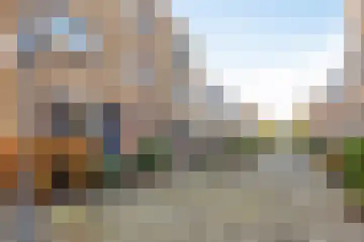 Zilvermeeuw 1 De Lier foto 2