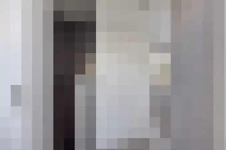 Zilvermeeuw 1 De Lier thumbnail 20
