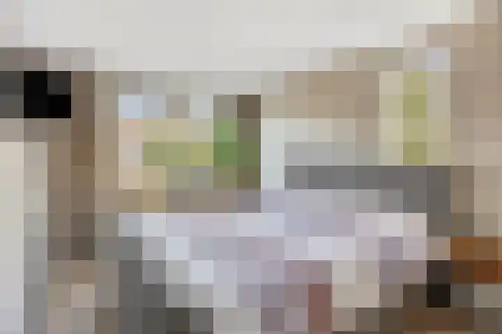 Zilvermeeuw 1 De Lier thumbnail 21