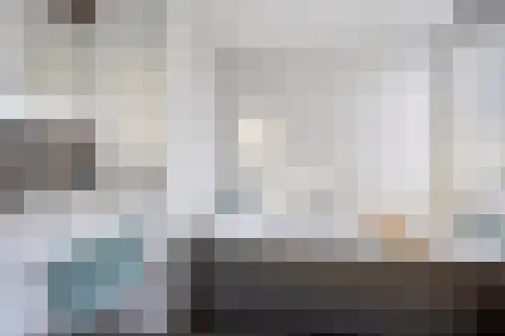 Zilvermeeuw 1 De Lier thumbnail 22