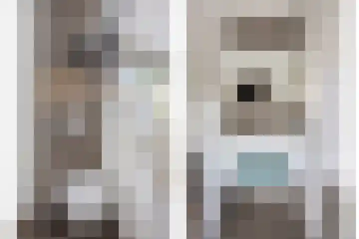 Zilvermeeuw 1 De Lier thumbnail 23