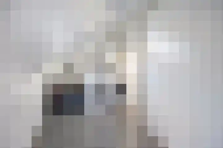 Zilvermeeuw 1 De Lier thumbnail 24