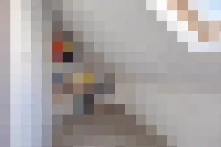 Zilvermeeuw 1 De Lier thumbnail 25